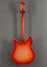 Rickenbacker 360/12 C63, Fireglo: Full Instrument - Rear