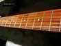 Rickenbacker 330/12 , Midnightblue: Neck - Front