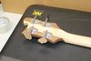 Rickenbacker 4003/4 S, Natural Walnut: Headstock - Rear