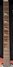Rickenbacker 360/12 , Fireglo: Neck - Front