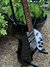 Rickenbacker 325/6 C64, Jetglo: Close up - Free