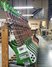 Rickenbacker 4003/4 Limited Edition, Candy Apple Green: Free image