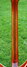 Rickenbacker 365/6 Capri, Fireglo: Neck - Rear