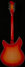 Rickenbacker 1993/12 Plus, Fireglo: Full Instrument - Rear