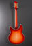 Rickenbacker 1993/12 Plus, Fireglo: Full Instrument - Rear