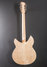 Rickenbacker 1993/12 Plus, Mapleglo: Full Instrument - Rear