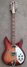Rickenbacker 360/12 WB, Fireglo: Full Instrument - Front