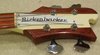 Rickenbacker 4001/4 CS, Cream: Headstock