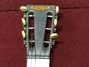 Rickenbacker A22/6 LapSteel, Silver: Headstock