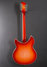 Rickenbacker 1993/12 Plus, Fireglo: Full Instrument - Rear