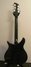 Rickenbacker 320/6 Mod, Jetglo: Full Instrument - Rear