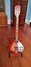 Rickenbacker 620/12 , Fireglo: Full Instrument - Front