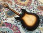 Rickenbacker 381/12 V69, MonteBrown: Full Instrument - Rear