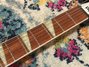 Rickenbacker 381/12 V69, MonteBrown: Neck - Front