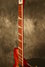 Rickenbacker 360/6 SPC, Fireglo: Neck - Front