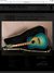 Rickenbacker 730/12 PW Build (acoustic), Aquaglo: Full Instrument - Front