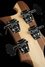 Rickenbacker 4003/4 , Natural Walnut: Headstock - Rear