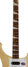 Rickenbacker 4003/4 , Mapleglo: Neck - Front