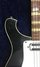 Rickenbacker 460/6 , Black: Close up - Free2