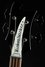 Rickenbacker 4003/4 , Jetglo: Headstock