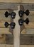 Rickenbacker 4003/4 , Natural Walnut: Headstock - Rear