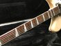 Rickenbacker 360/6 , Mapleglo: Neck - Front