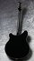 Rickenbacker 360/6 , Jetglo: Full Instrument - Rear