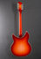 Rickenbacker 1993/12 Plus, Fireglo: Full Instrument - Rear