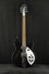 Rickenbacker 330/12 , Matte Black: Full Instrument - Front