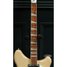 Rickenbacker 360/6 , Mapleglo: Neck - Front