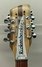 Rickenbacker 360/12 , Mapleglo: Headstock