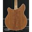 Jun 2021 Rickenbacker 360/6 , Natural Walnut: Body - Rear