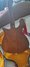 Rickenbacker 450/6 Refin, Natural: Full Instrument - Rear