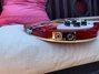 Rickenbacker 360/12 , Fireglo: Close up - Free