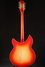 Rickenbacker 360/12 C63, Fireglo: Full Instrument - Rear