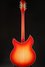 Rickenbacker 360/12 C63, Fireglo: Full Instrument - Rear