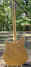 Rickenbacker 360/12 , Natural: Full Instrument - Rear