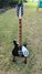 Rickenbacker 620/12 , Jetglo: Full Instrument - Front