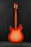 Rickenbacker 360/12 C63, Fireglo: Full Instrument - Rear