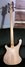 Rickenbacker 4003/4 , Mapleglo: Full Instrument - Rear