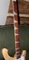 Rickenbacker 4003/4 , Mapleglo: Neck - Front