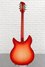 Rickenbacker 360/12 C63, Fireglo: Full Instrument - Rear