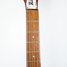 Rickenbacker 330/12 , Fireglo: Neck - Front