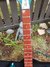 Rickenbacker 330/6 , Turquoise: Neck - Front