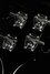 Rickenbacker 4003/4 , Jetglo: Headstock - Rear