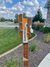 Rickenbacker 4001/4 , Mapleglo: Headstock