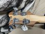 Rickenbacker 4003/4 AC Al Cisneros model, Natural Walnut: Headstock - Rear