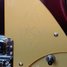Rickenbacker 360/6 75th Ann, DCMetallic: Free image