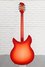 Rickenbacker 360/12 C63, Fireglo: Full Instrument - Rear