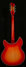 Rickenbacker 360/12 C63, Fireglo: Full Instrument - Rear